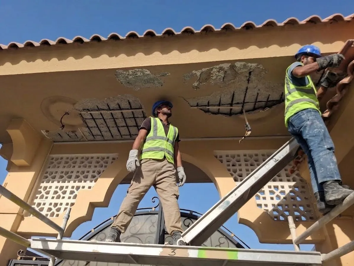 Painting and renovation